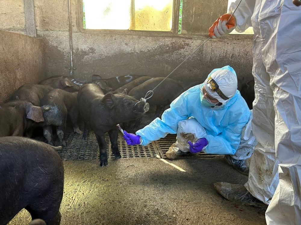 響應世界衛生日　新北動保處籲從守護動物健康開始