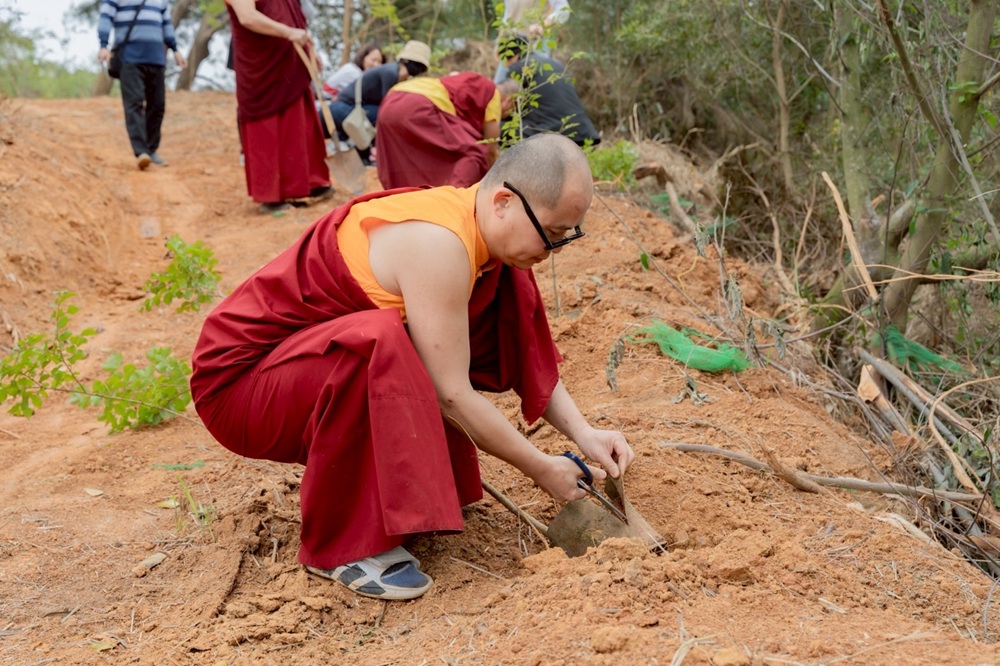 攜手桑耶寺打造永續環境　 新北農業局推動為地球種下一棵樹