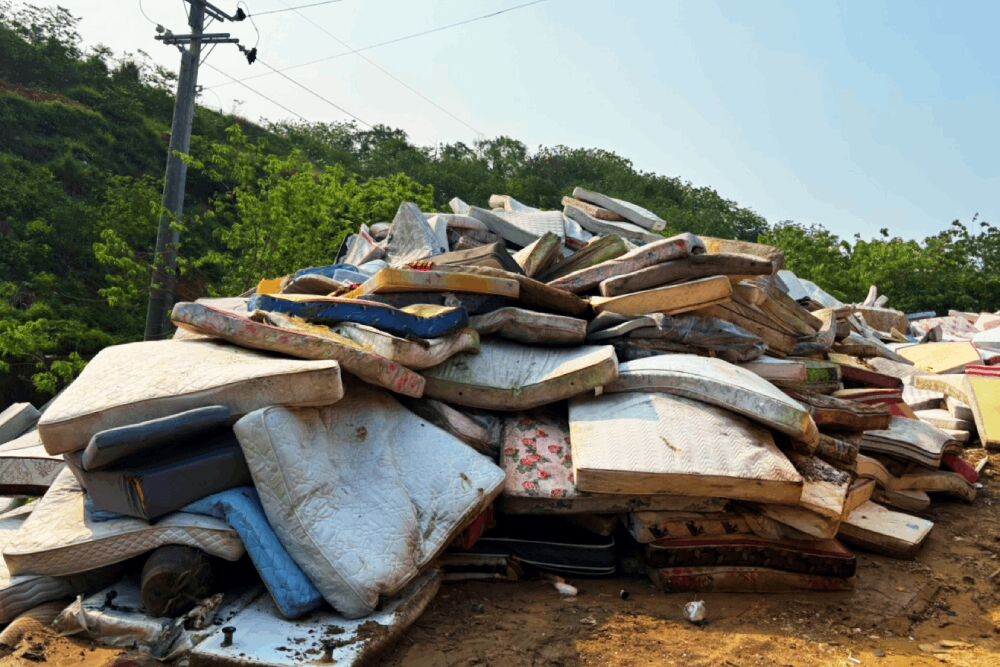 照片來源：苗栗市公所