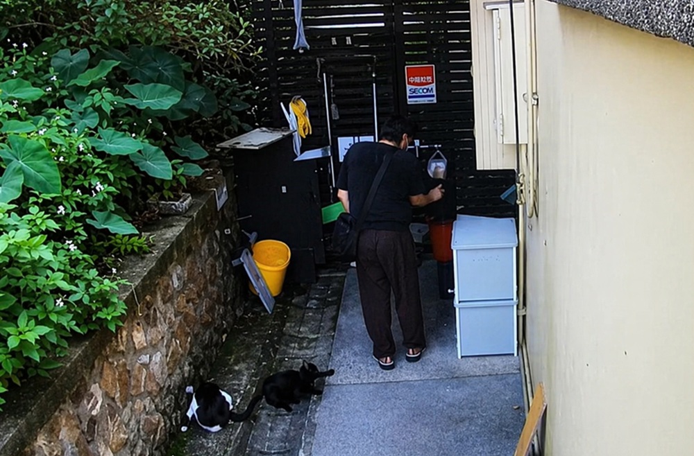 涉以辣椒水虐猴硐貓　警清查比對逮28歲男辯心情不好