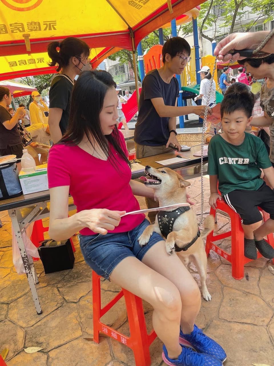 籲前瞻規劃寵物長照政策　闕枚莎：加速建置台北首座室內運動公園 9