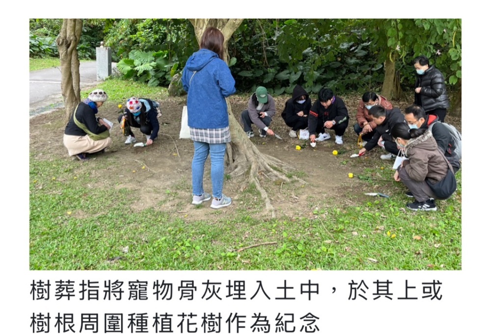 寵物殯葬陷阱多　新北動保處籲慎選契約避爭議