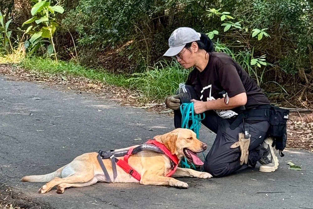 全台僅2隻　台中警犬Uhoo勇奪德國BRH路徑追蹤高級認證
