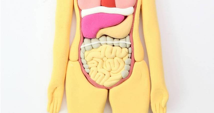 男腸癌四期「9年沒復發」！女乳癌一期3年又長腫瘤　醫揭關鍵差異