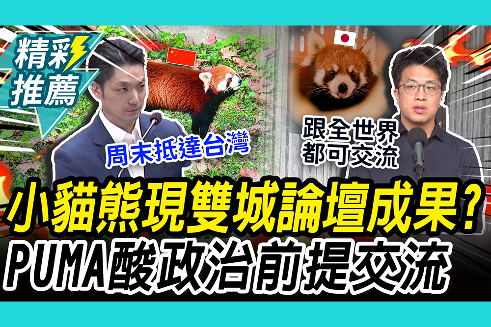 【CNEWS】「小貓熊來台」現雙城論壇成果？沈伯洋舉「茜茜」酸：不需要政治前提交流