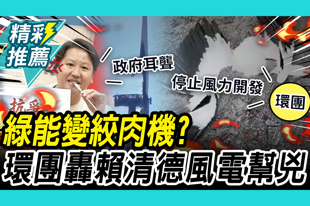 【CNEWS】血色電力！綠能變絞肉機？苗栗、彰化環團怒轟賴清德「風電幫兇」