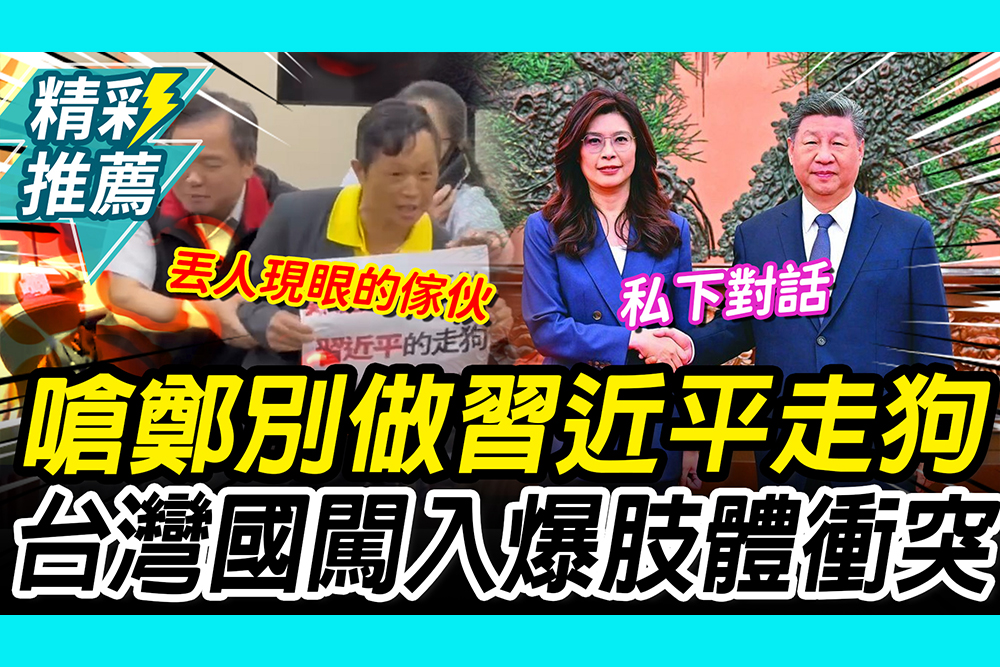 【CNEWS】習手軟如雲朵？台灣國嗆鄭麗文「別做習近平走狗」！爆肢體衝突