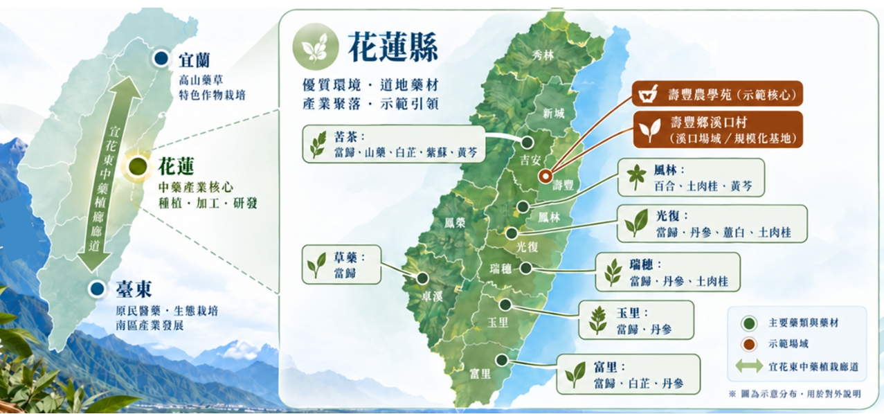【投書】打造宜花東中藥產業廊道　從一方藥材重新想像東部農業的下一步