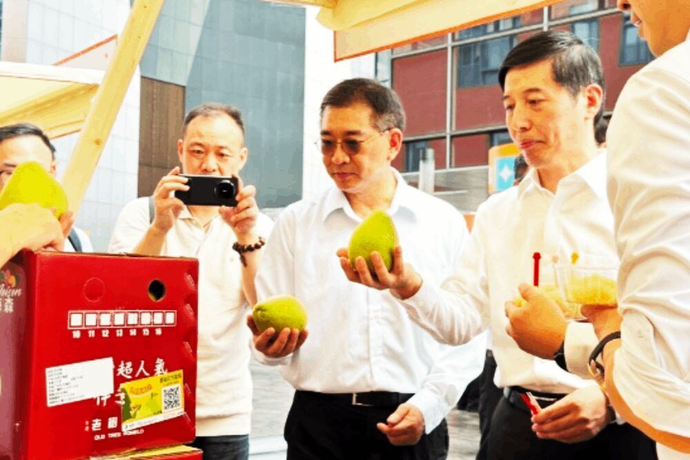 張雅屏赴深圳見證台灣文旦柚運抵　樂見10項交流措施協議落地
