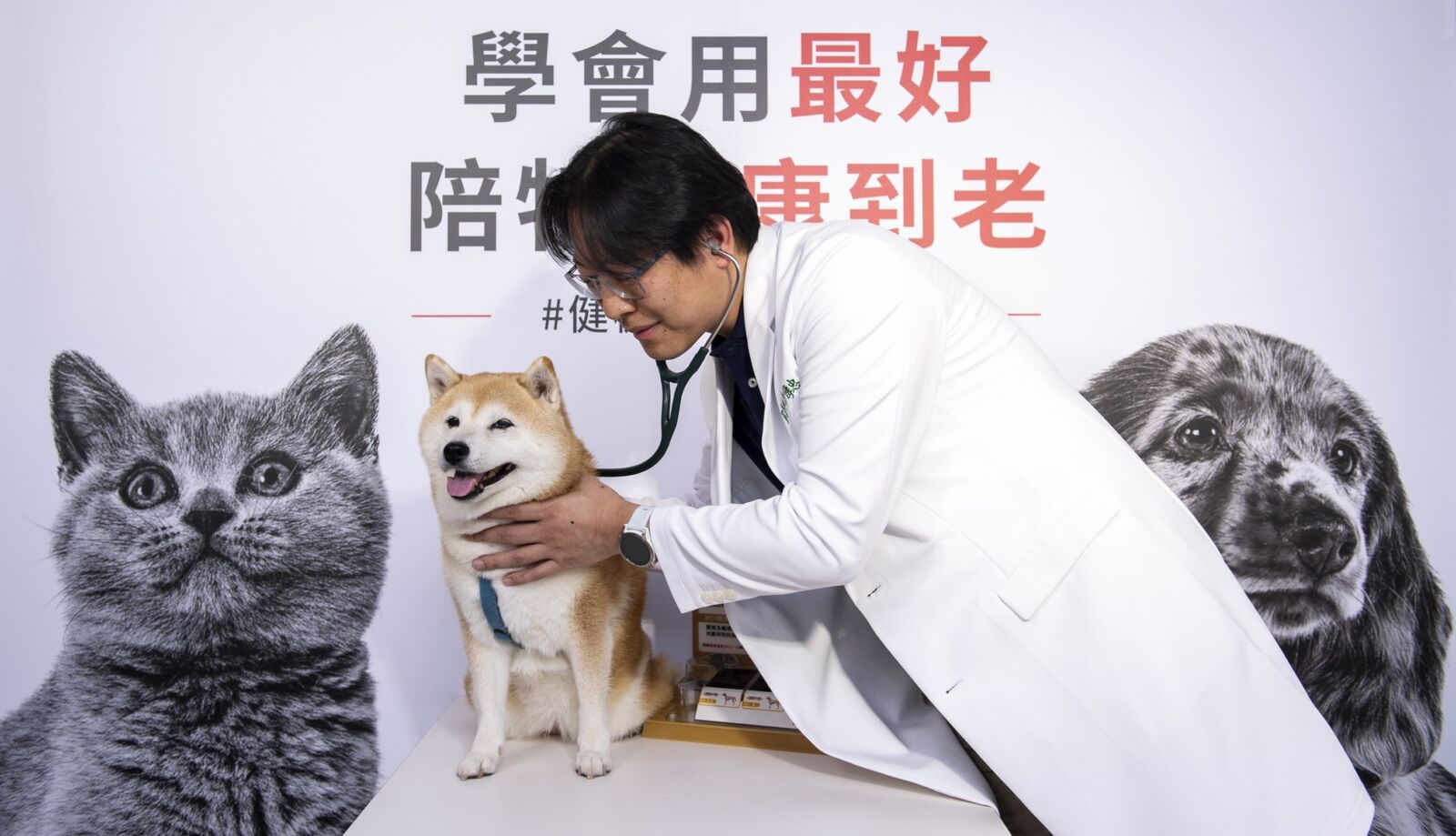 毛孩健檢照護指南　法國皇家「健檢及早，相伴到老」活動開跑 5