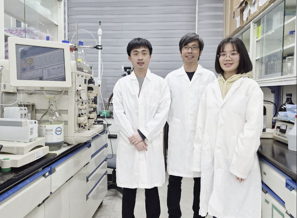 演化竟靠Ctrl+C、Ctrl+V！  陽明交大研究：蛋白質也懂複製貼上