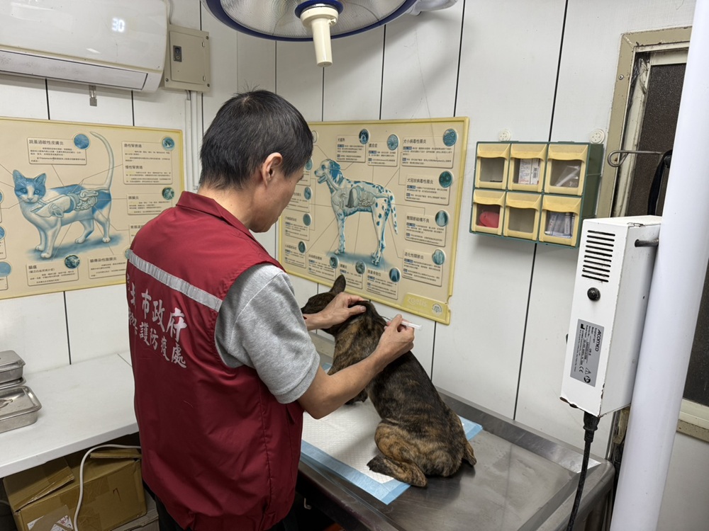 農村犬管理不只靠捕捉　新北動保處走進社區助絕育推寵物登記
