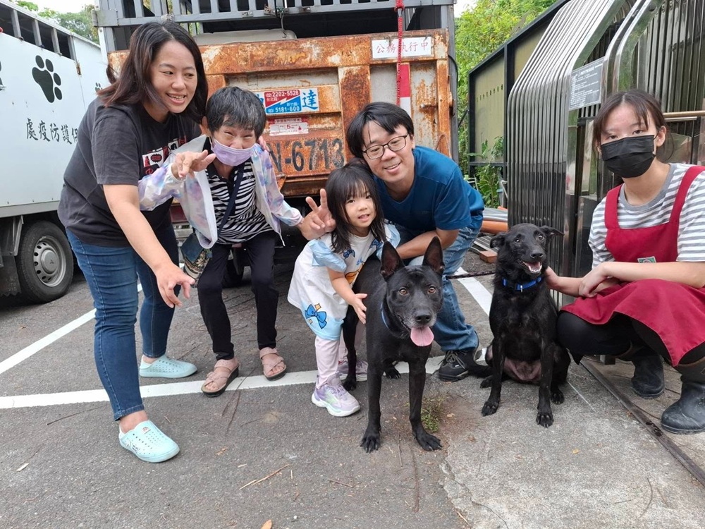 新北市府徵人犬搭檔　培訓收容犬拚當治療犬