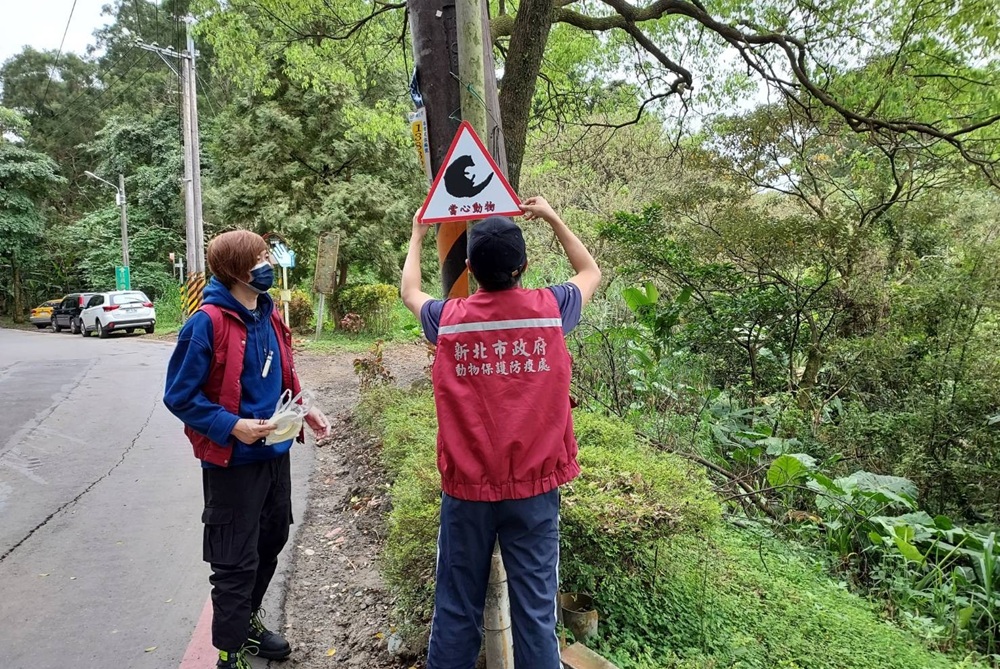 導航通報路殺熱點　新北攜手路殺社與導航王升級路況資訊