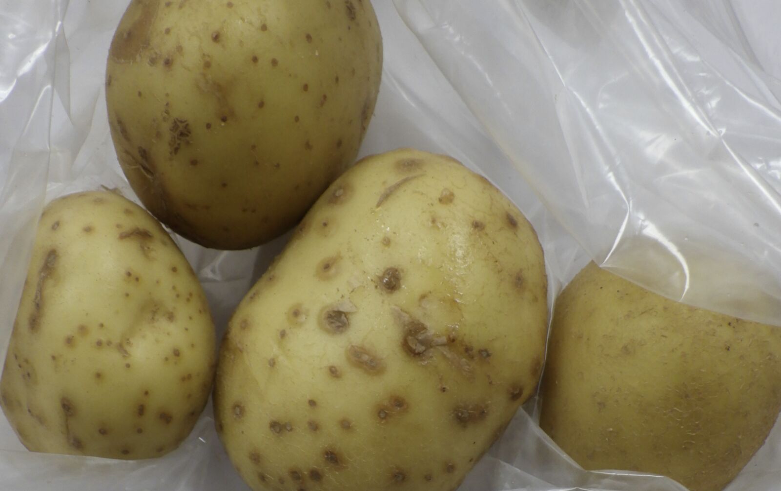 華元食品進口美國「馬鈴薯」龍葵鹼超標！   食藥署扣下339.5公噸