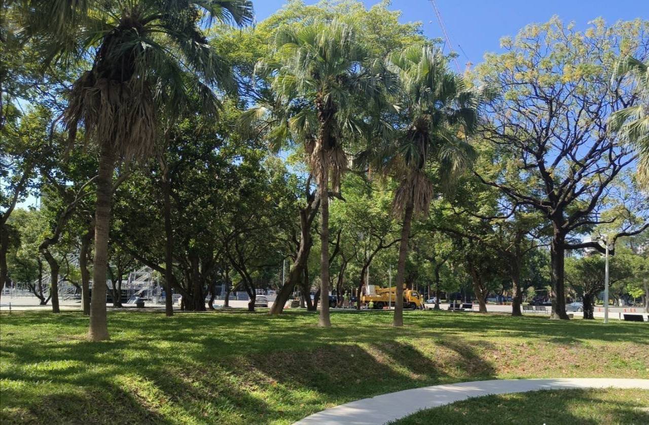 竹北市東、市西公園改造成箭靶　范格菱拿數據反擊：護樹靠專業