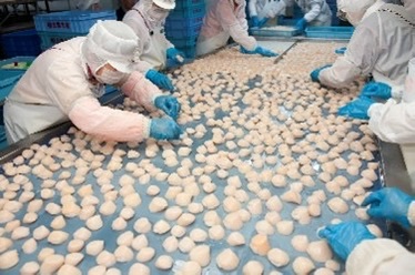 進口額創133億日圓新高　日本帆立貝亮相高雄食品展推4大料理應用 9