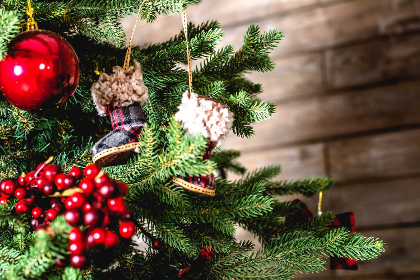 節慶布置有巧思！唯美聖誕樹、聖誕花圈 加入多肉植物超療癒