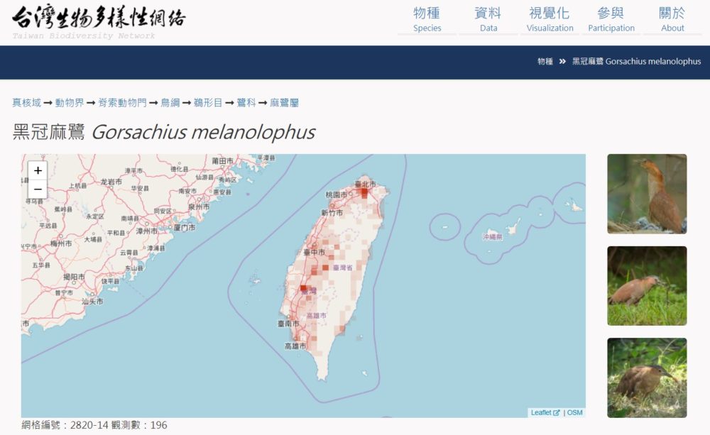 生物多樣性大數據看得到、用得到 —台灣生物多樣性網絡 17