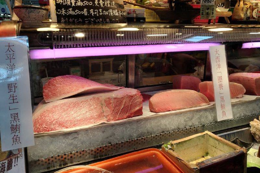 黑鮪魚價格慘跌剩一半　「東港黑鮪季」延期前景堪慮