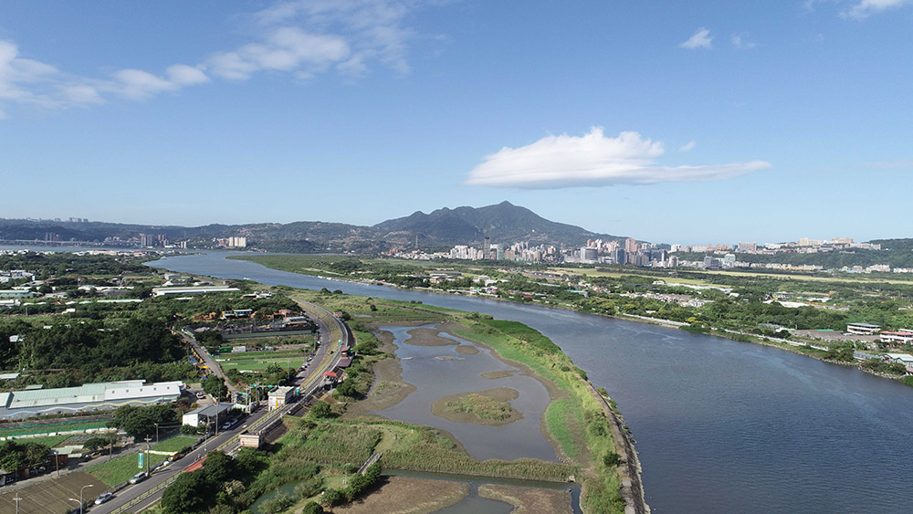 舒壓賞鳥趣！稀客再現 超萌小水鴨現身社子島溼地 5