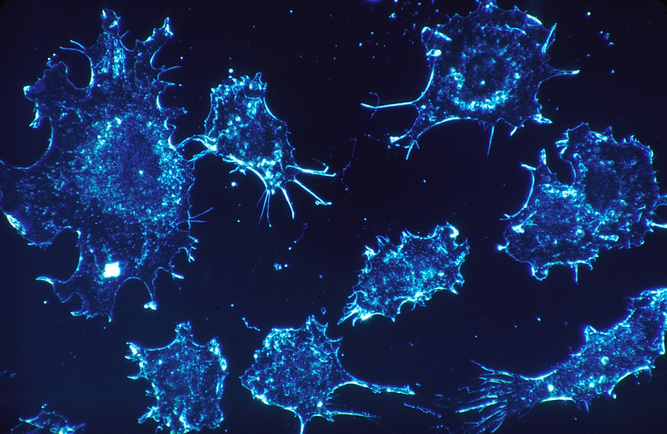 突破！長庚團隊破解藥物嚴重過敏之謎  找到特異T細胞治療抗癌