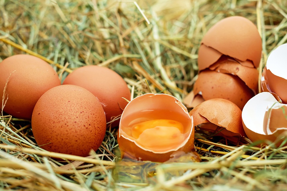 防霉蛋、臭蛋被混打成「液蛋」賣   明年起全面禁用破殼蛋