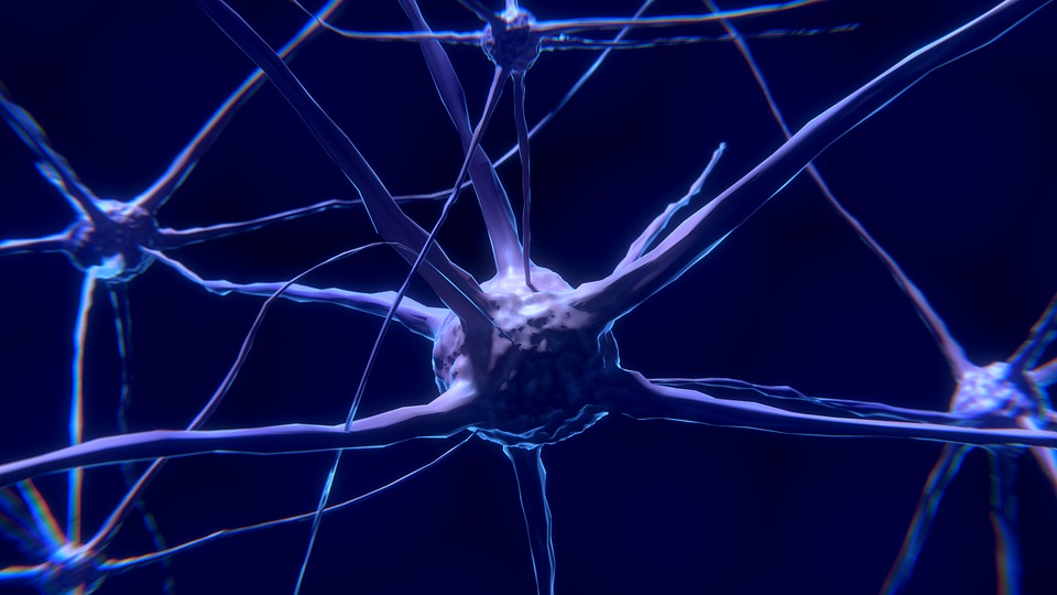 國衛院研發神奇「導管」 可增強神經修復再生