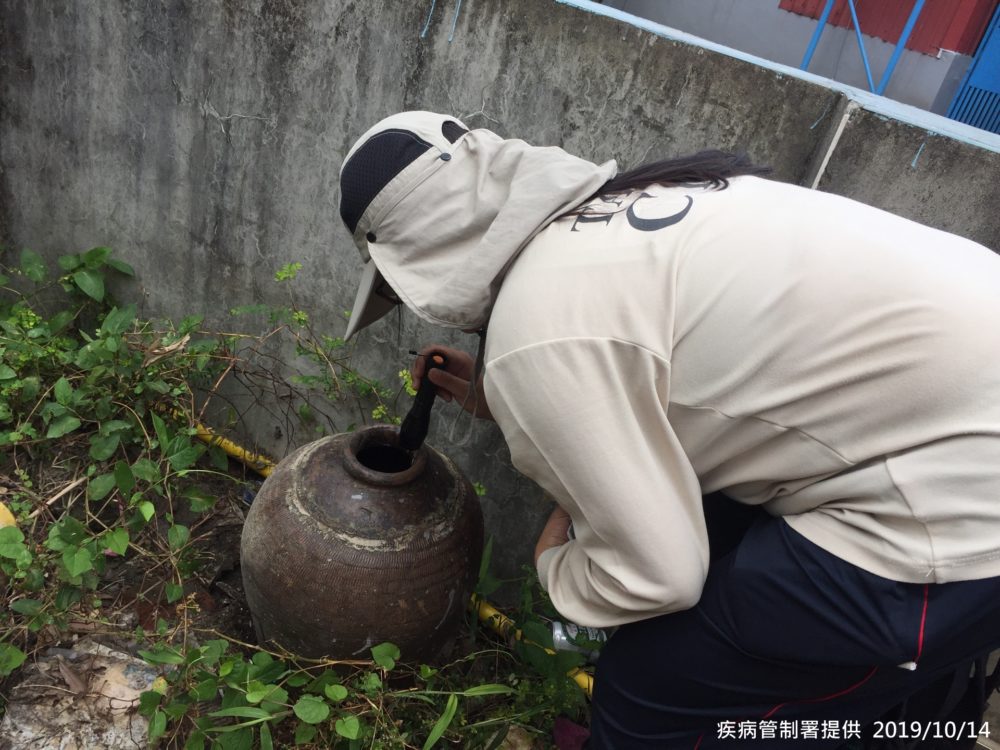 新北樹林「養蚊」菜園登革熱群聚還在爆! 一周內已4人發病確診
