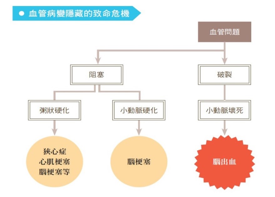 每47分鐘有1人死於腦中風　氣功運動促進腦血管循環 17