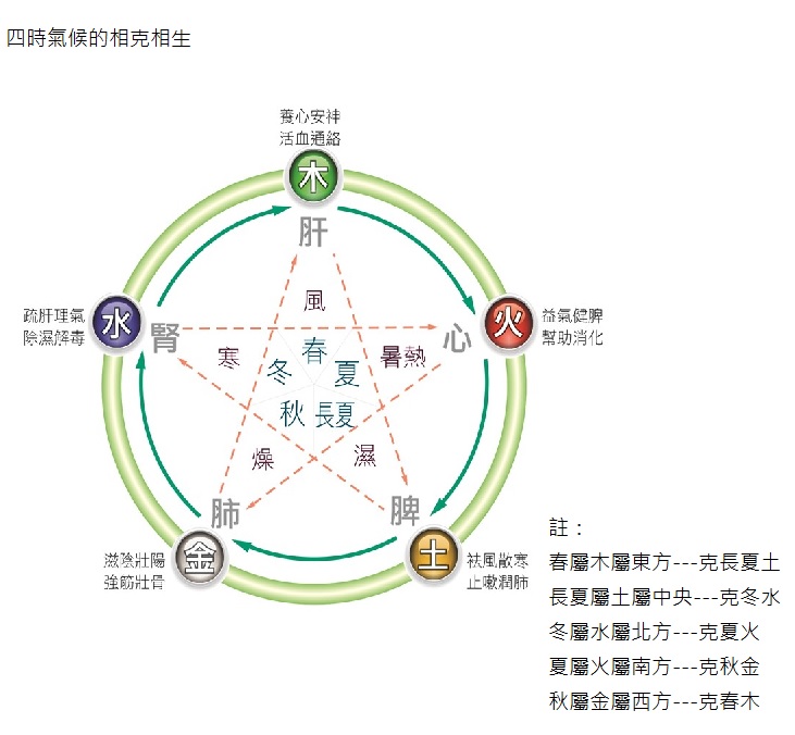 【白雁專欄】秋老虎偷心傷肺？小心賊風讓你丟了抵抗力 27