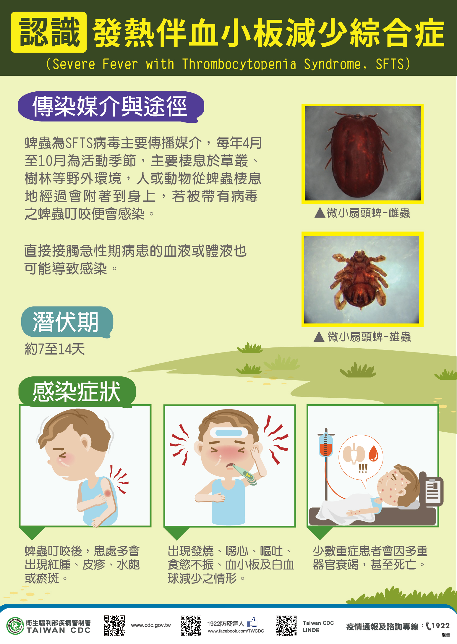 【有影】蜱害！中國現跡後十年 台灣也爆首例SFTS病例7旬老翁救治中 11