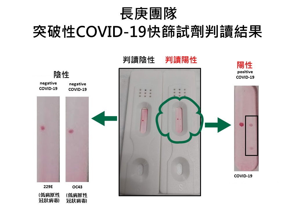 長庚團隊突破性COVID 19 快篩試劑判讀結果